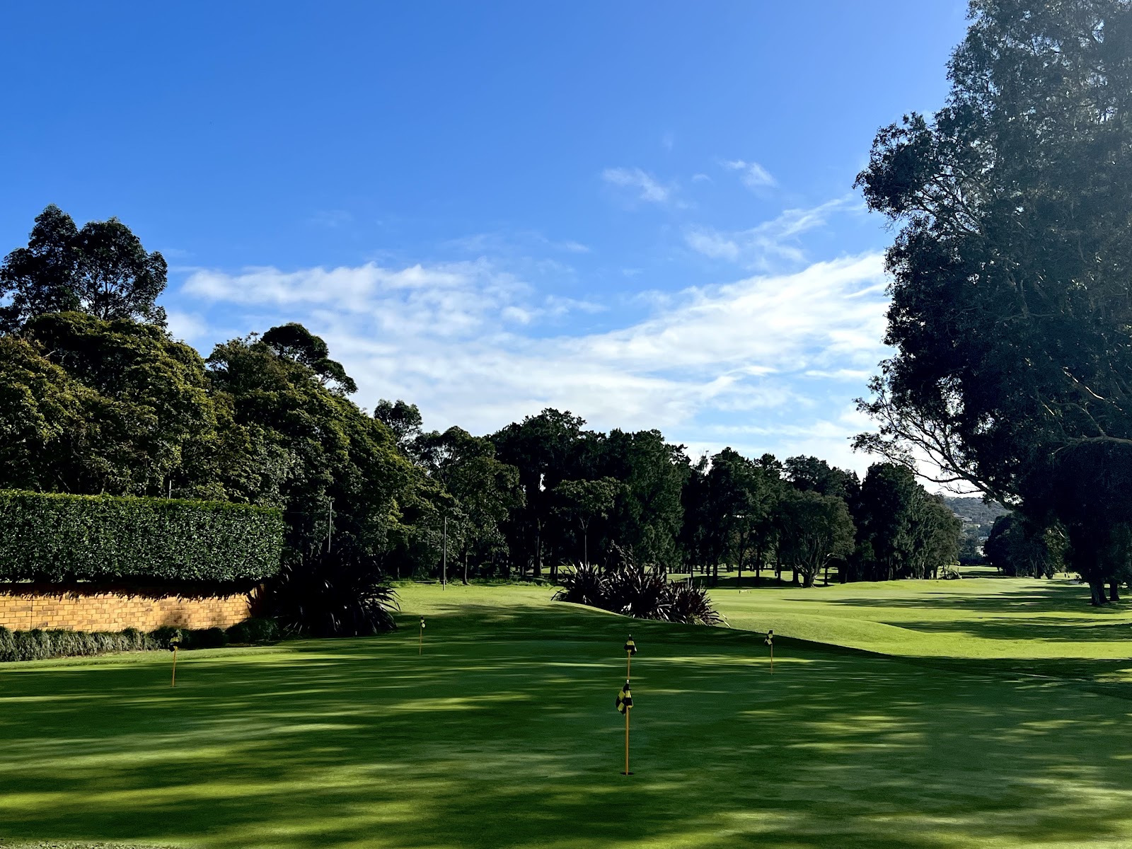 Warringah Golf Club Limited in Allambie Heights - photo 1