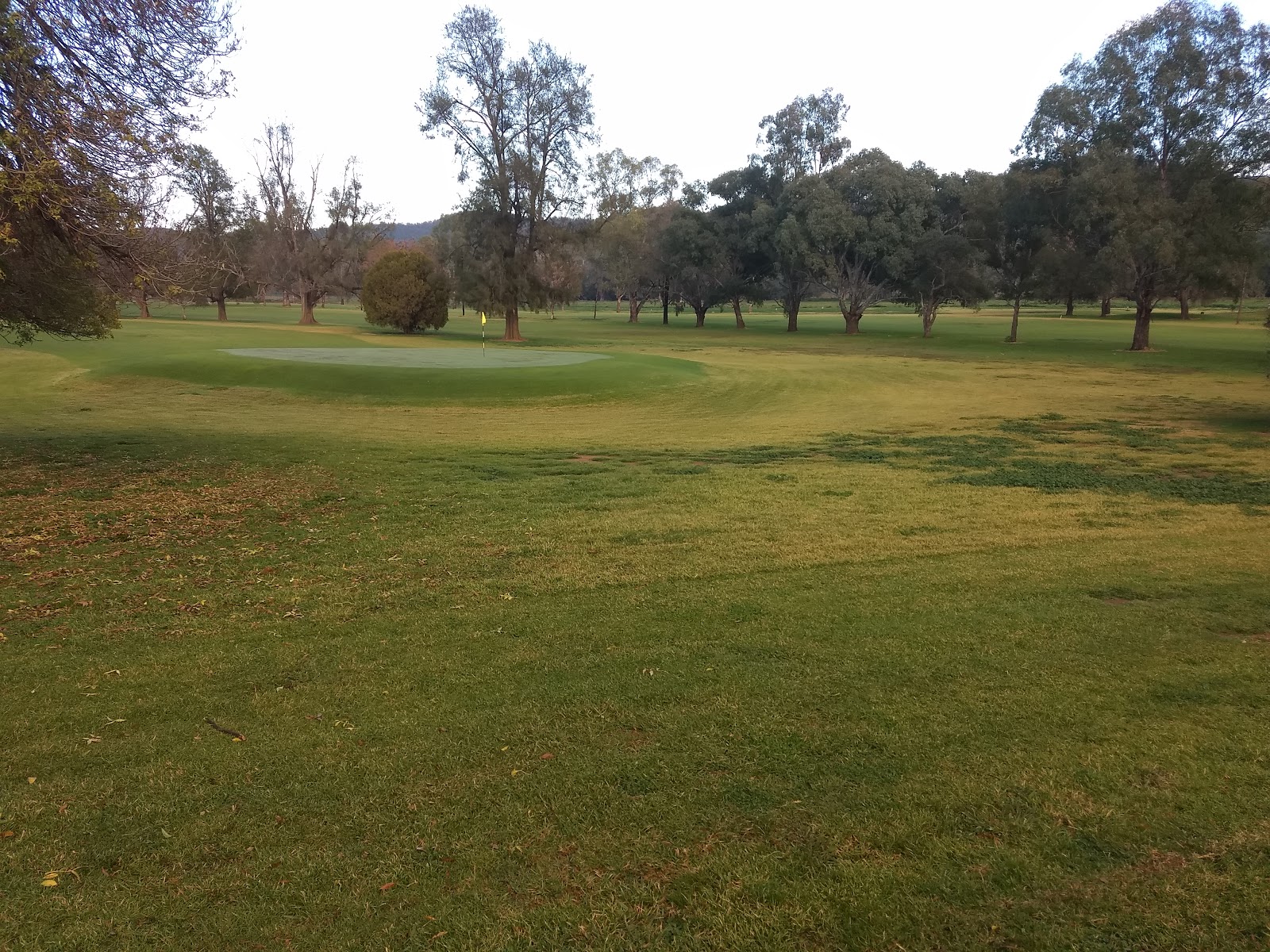 Wellington Golf Club Limited in Apsley - photo 4