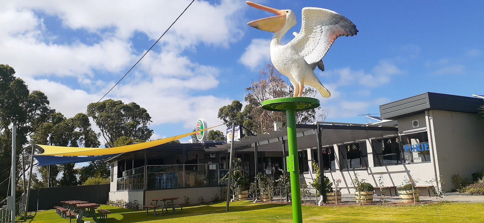 Wellington Hotel in Wellington - photo 2