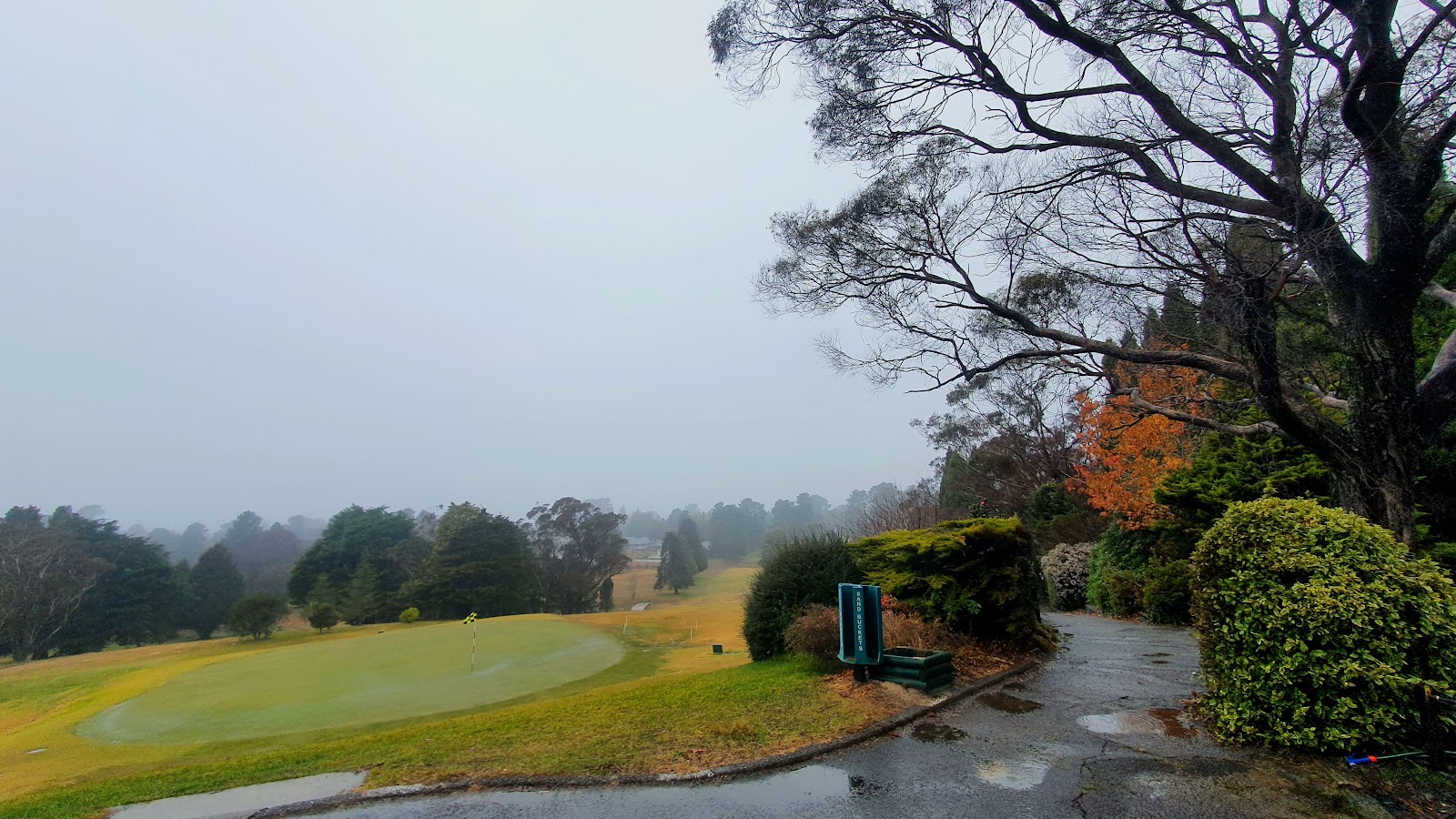 Wentworth Falls Country Club Limited in Wentworth Falls - photo 5
