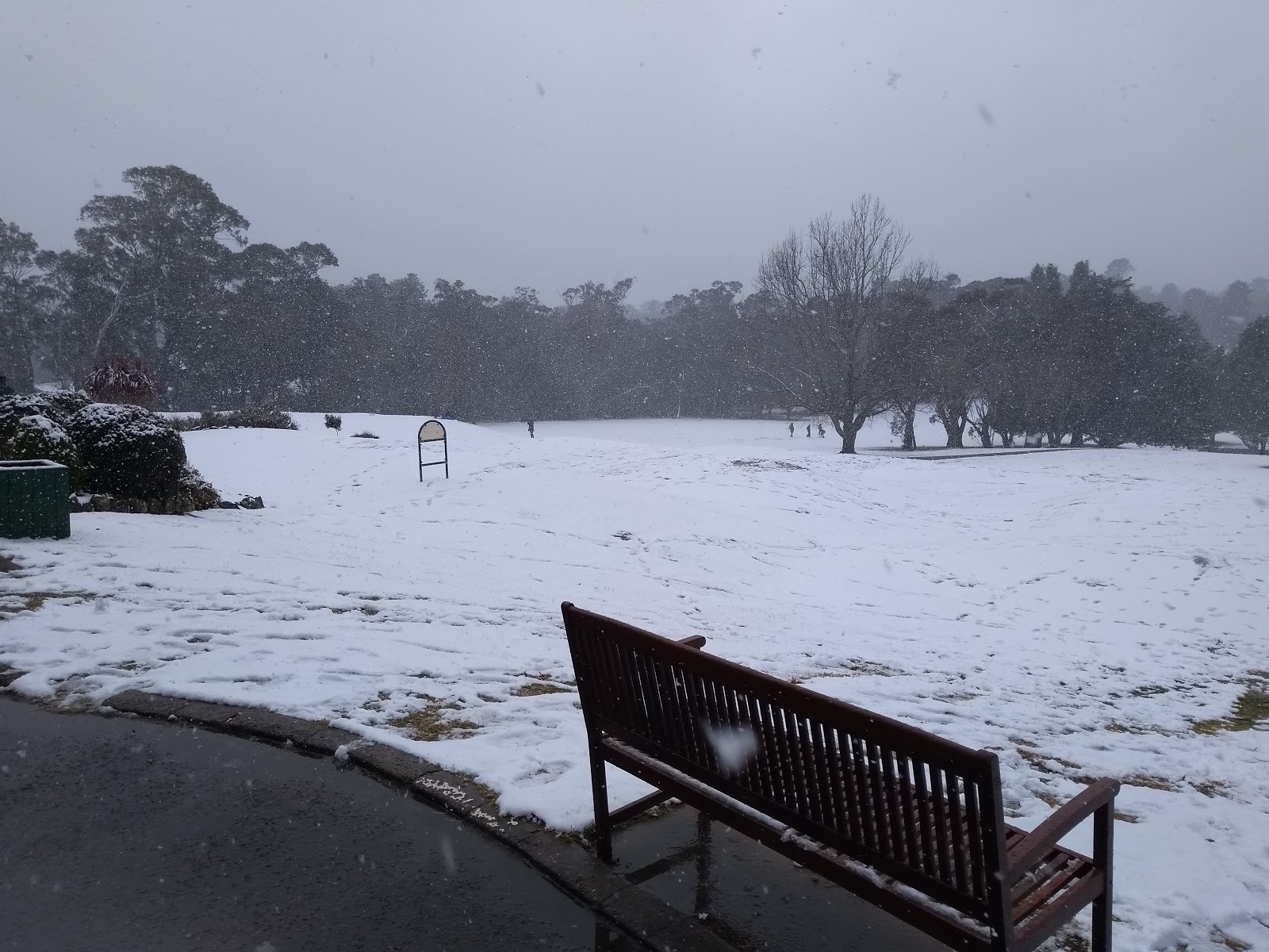 Wentworth Falls Country Club Limited in Wentworth Falls - photo 3