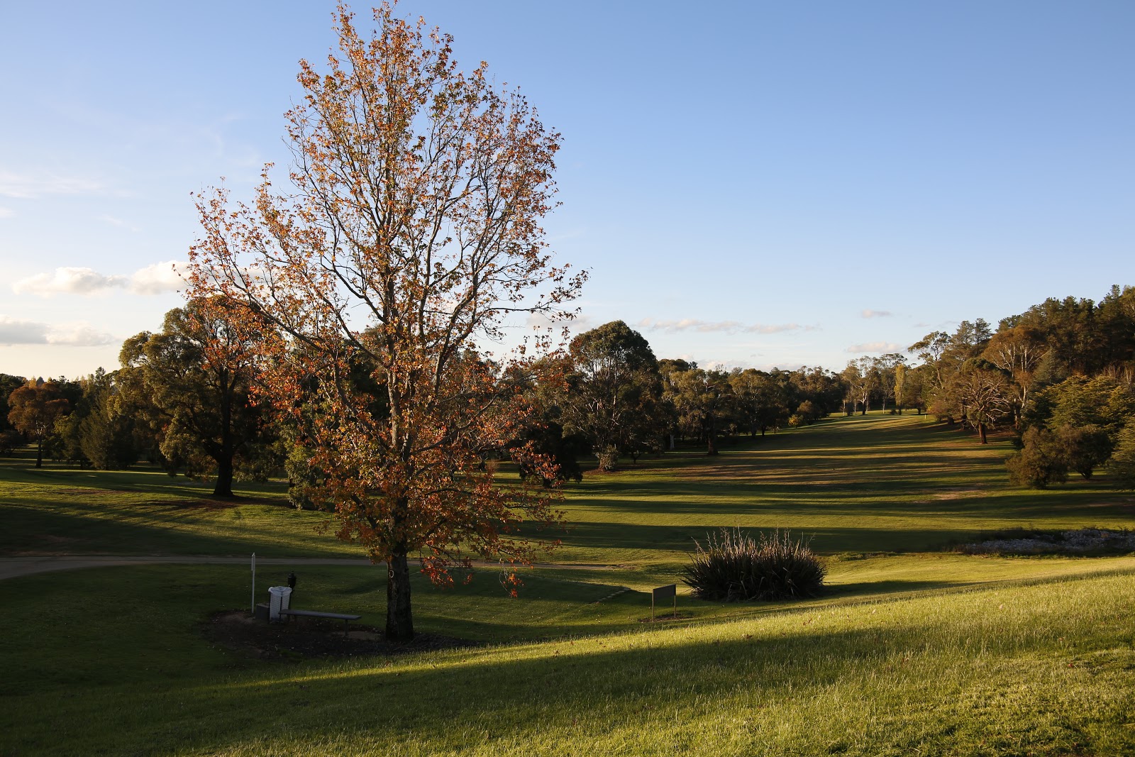 Wentworth Golf Club in Orange - photo 2