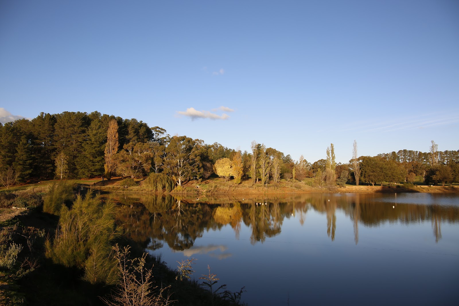 Wentworth Golf Club in Orange - photo 3