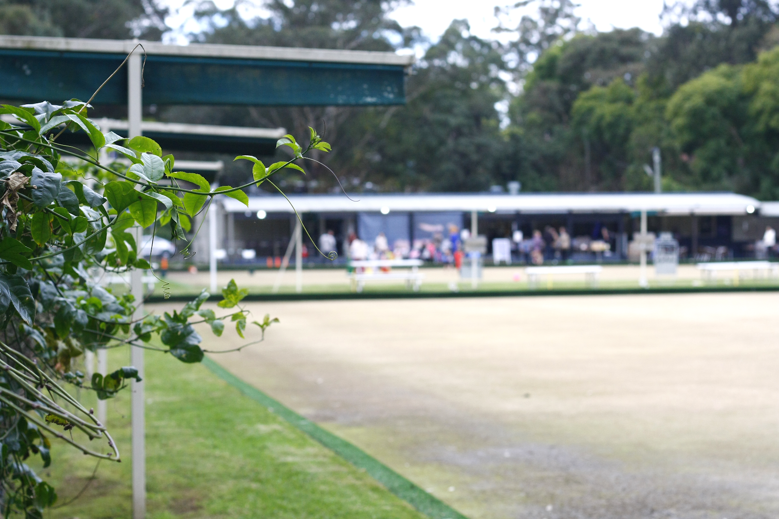 West Pymble Bicentennial Club Ltd in West Pymble - photo 1
