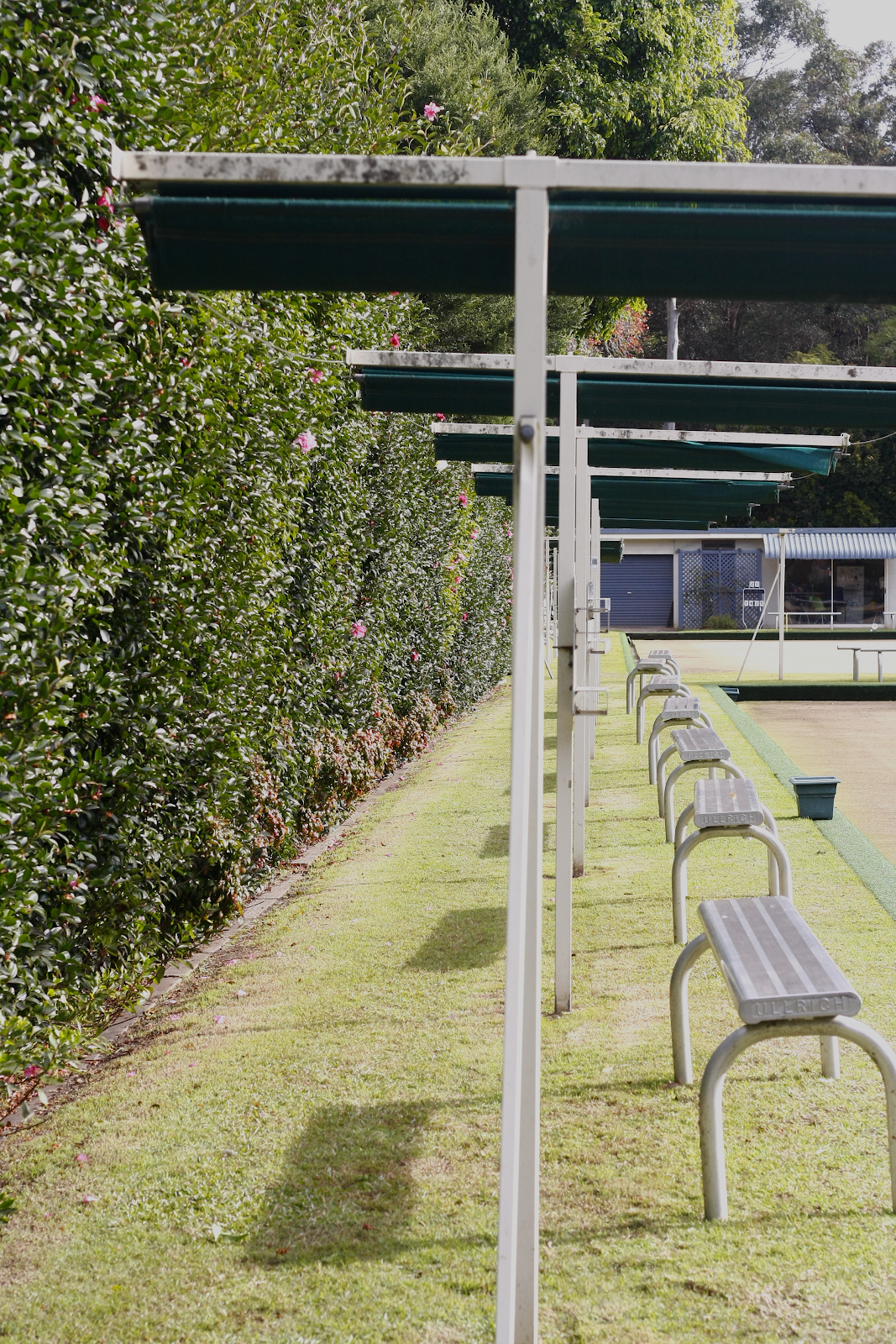 West Pymble Bicentennial Club Ltd in West Pymble - photo 4
