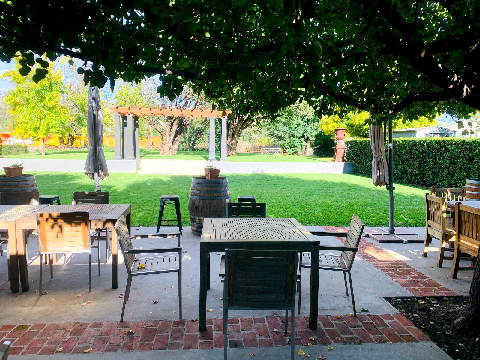 Willow Tree Inn Hotel in Willow Tree - photo 3