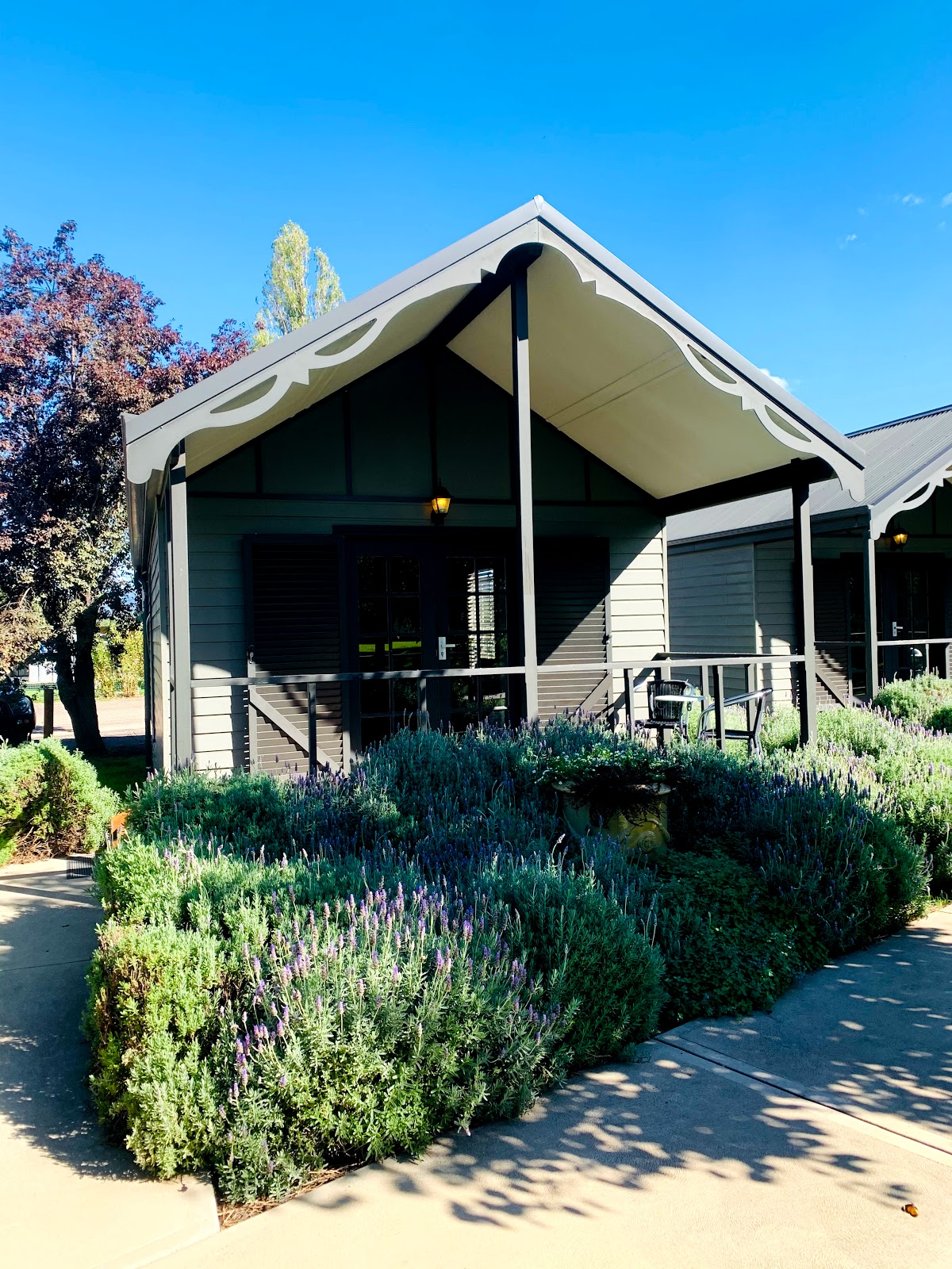 Willow Tree Inn Hotel in Willow Tree - photo 6