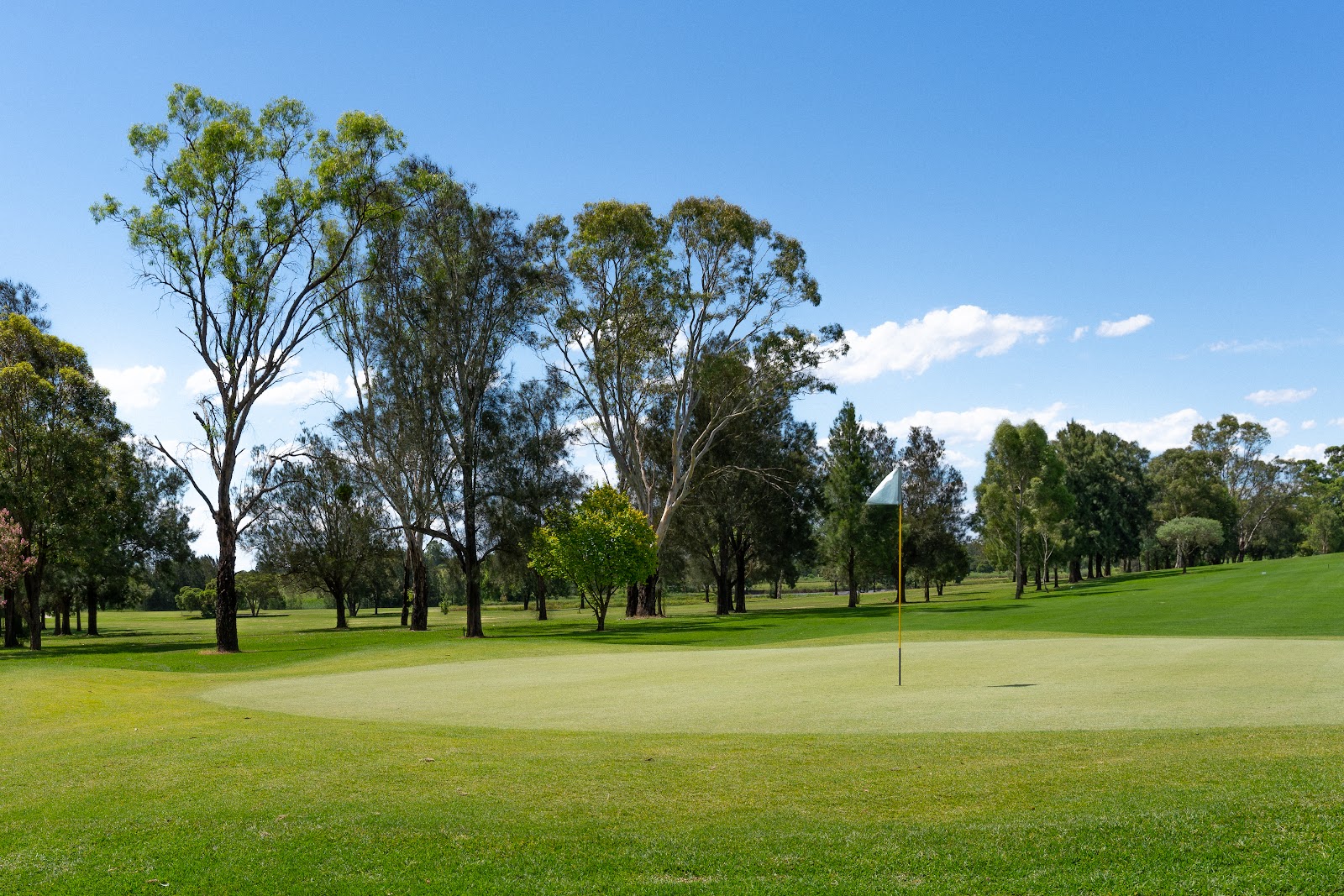 Windsor Country Club Limited in South Windsor - photo 3