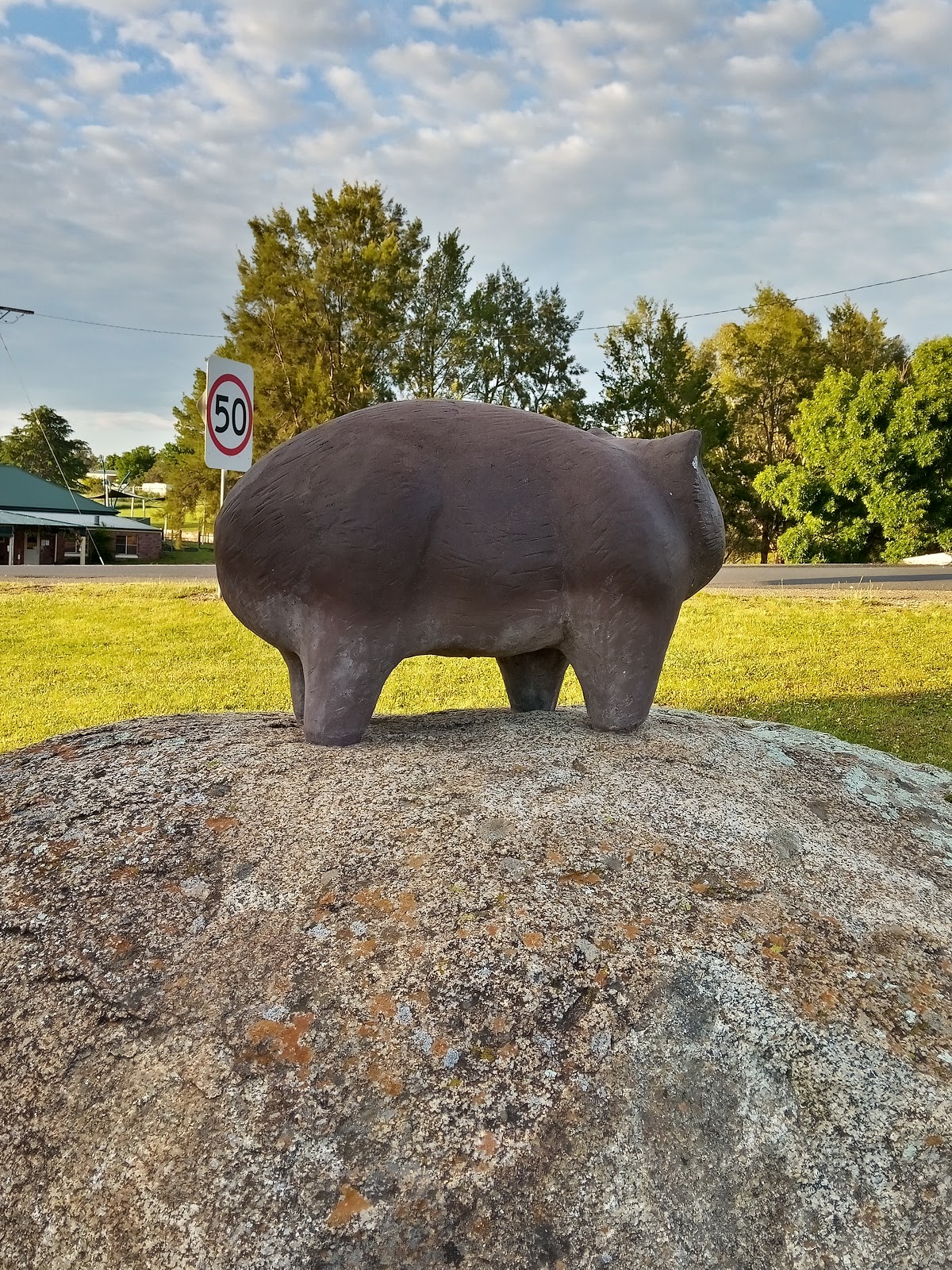 Wombat Hotel in Wombat - photo 2
