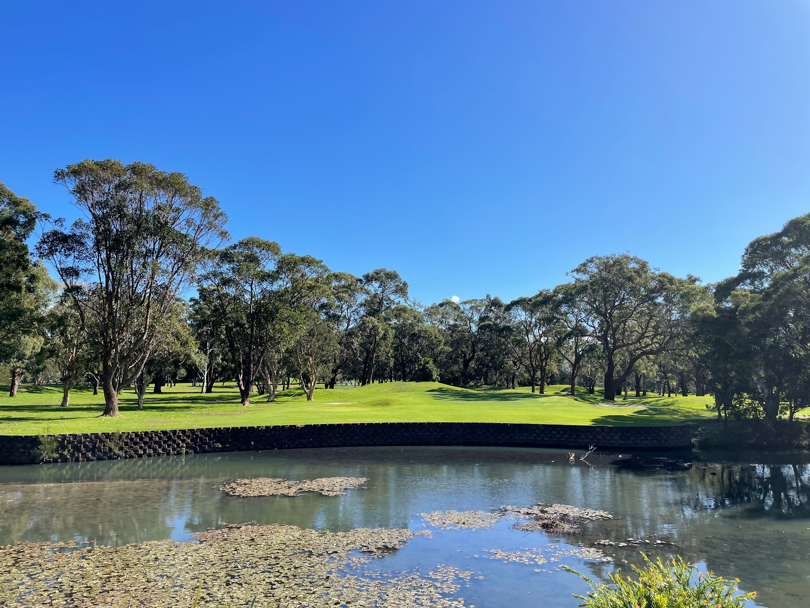 Woolooware Golf Club Limited in Woolooware - photo 5