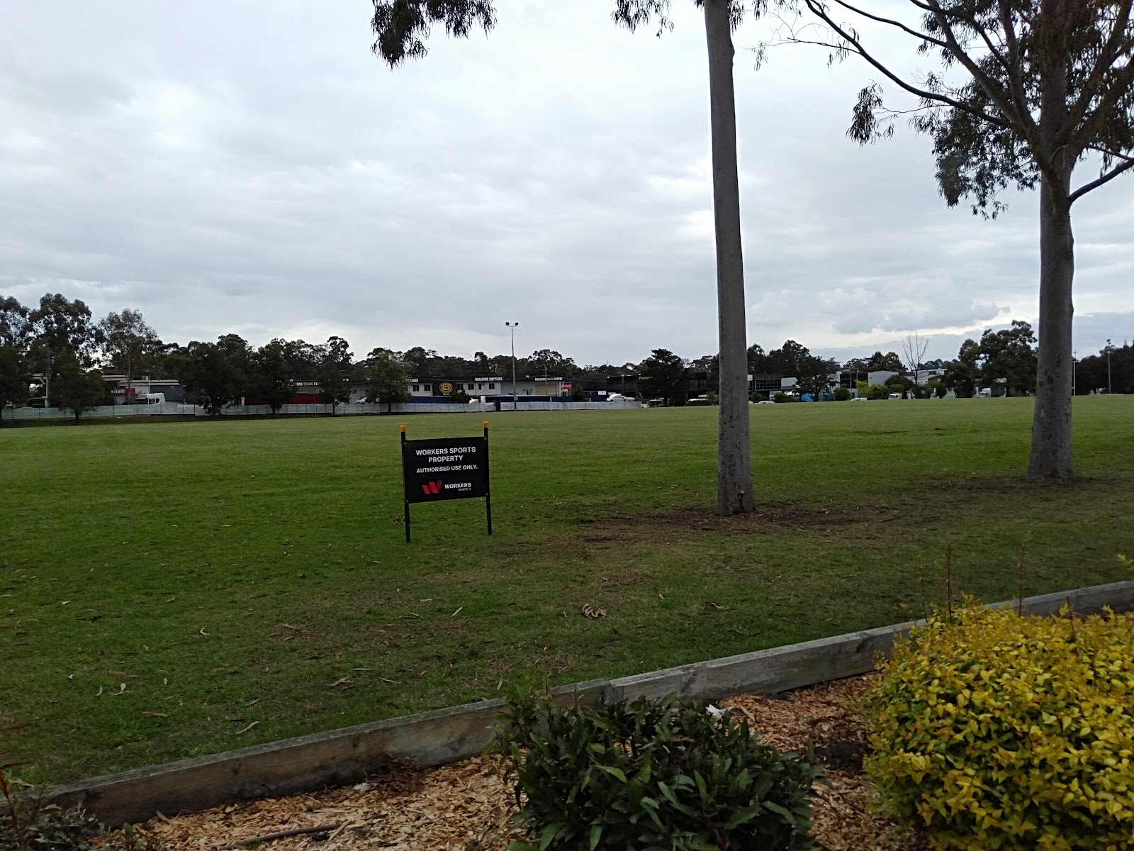 Workers Sports in Blacktown - photo 7