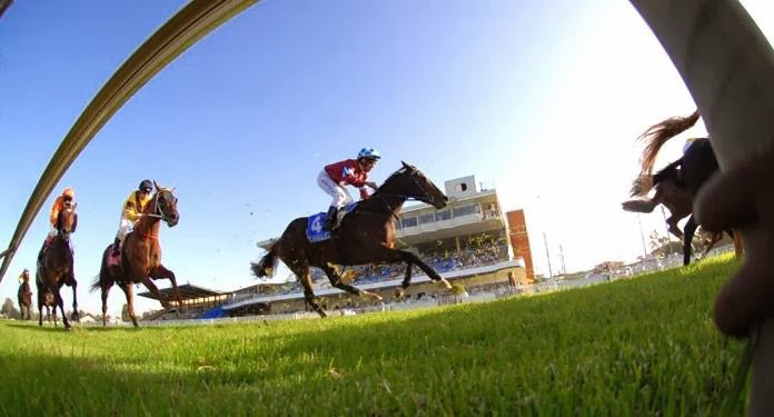 Wyong Race Club Limited in Wyong - photo 4