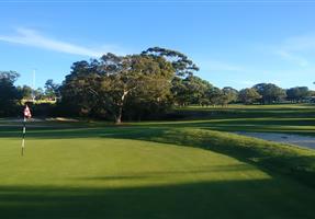 Balgowlah Golf Club Ltd - Club in Balgowlah