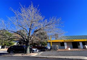 Berridale Inn Hotel Motel - Hotel in Berridale