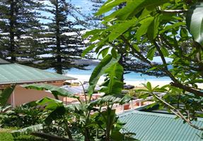 Cabbage Tree Club Limited - Club in Palm Beach