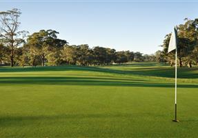 Cumberland Country Golf Club - Club in Greystanes