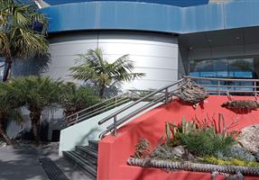 Drifters Wharf - Hotel in Gosford