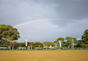 Mosman Bowling Club - Club in Mosman