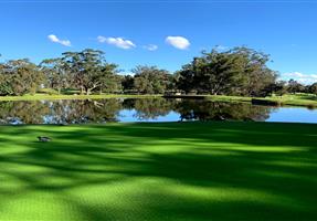 Muirfield Golf Club Ltd - Club in North Rocks