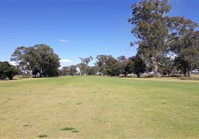 Scone Sporties - Club in Scone