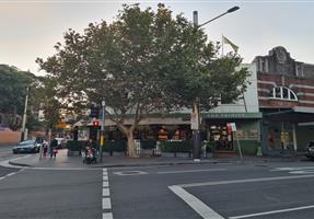 Trinity Bar - Hotel in Surry Hills