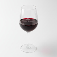 LUIGI VICO ‘ROBOR VITA’ Barbera