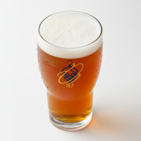 Sailors Grave Drowed Man IPA (Can) (4.8%)