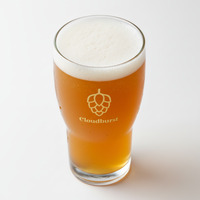 Balter Brewing Co. IPA