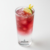 GRAPEFRUIT GINGER FIZZ