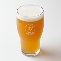 Willie The Boatman NEIPA