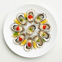 PACIFIC OYSTERS
