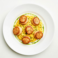 Tiger milk scallops, mandarin, celery, chilli
