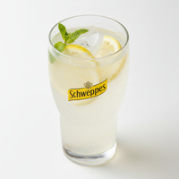 Lemonade / Diet