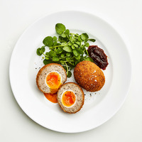 FALAFEL CRUSTED SCOTCH EGG