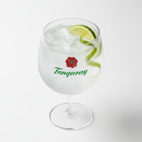 Tanqueray No10 Batch