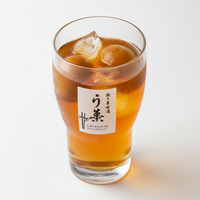 Choya ‘Shiso’ Umeshu