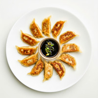 PAN FRIED VEGETABLE GYOZA (6)